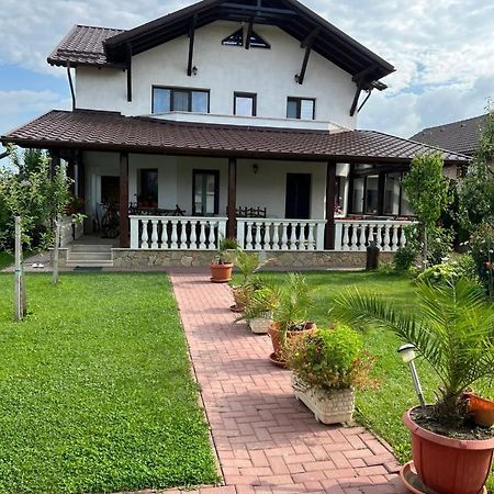 Apartament Crina Râșnov Zewnętrze zdjęcie